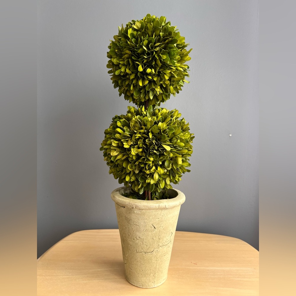 Harper Preserved Boxwood Double Ball Topiary Plant in Stone Pot- Price is Firm